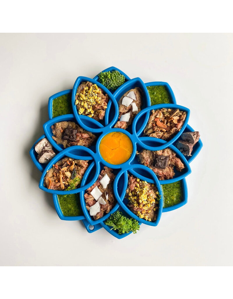 SodaPup eTray Feeder - Mandala - Blue