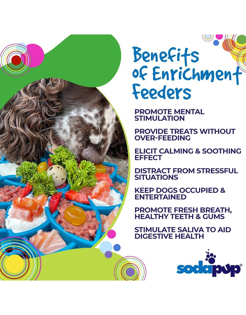 SodaPup eTray Feeder - Mandala - Blue