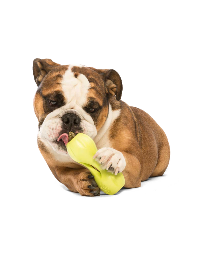 Westpaw Qwizl Ruby Red