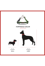 Martingale Collar