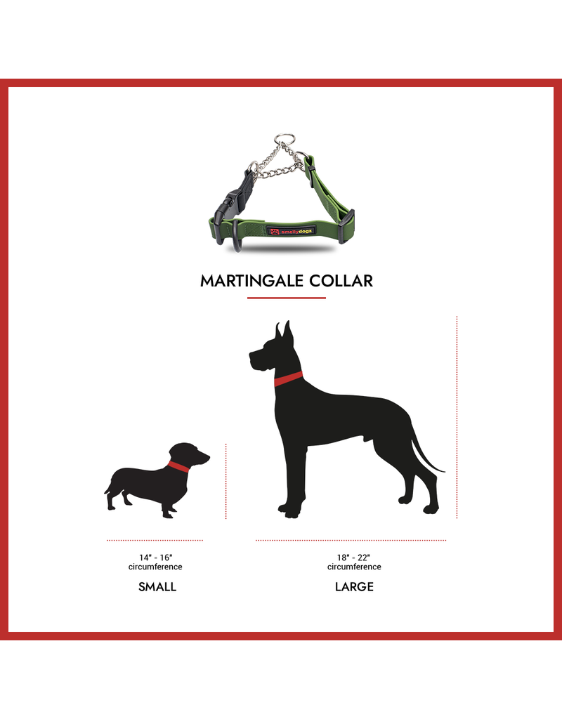Martingale Collar