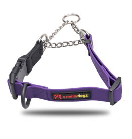 Martingale Collar