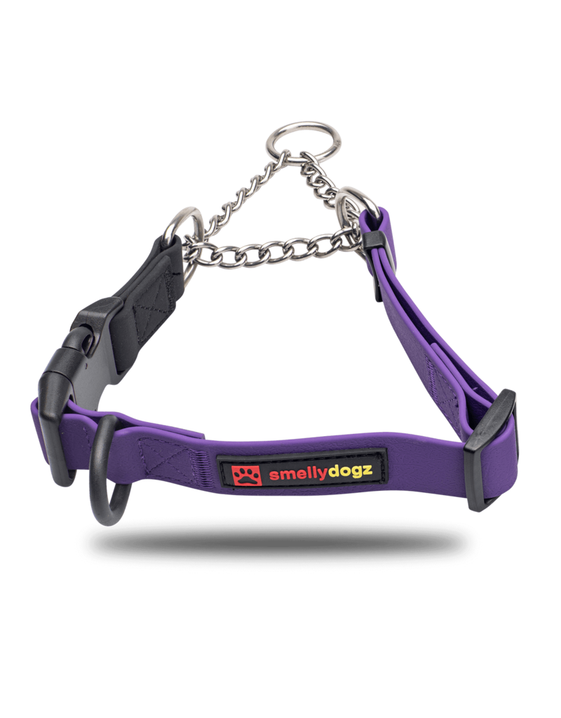 Martingale Collar
