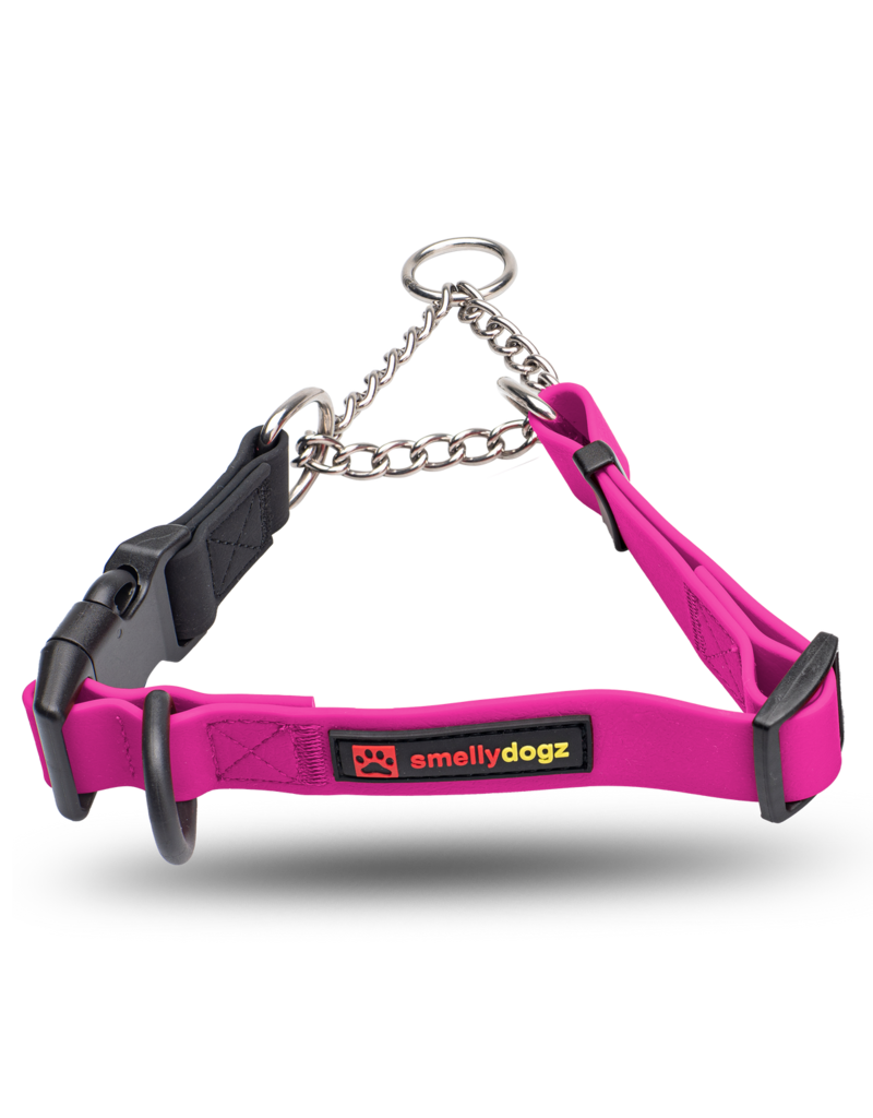 Martingale Collar