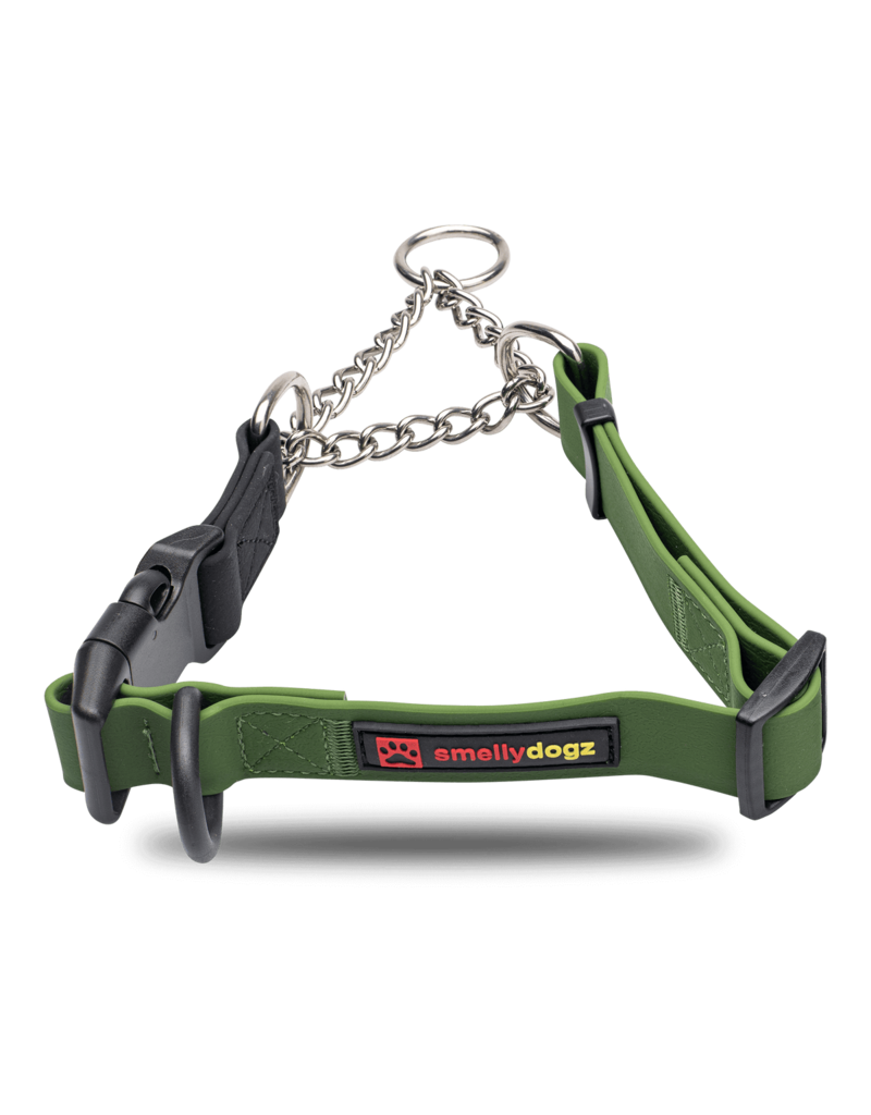Martingale Collar