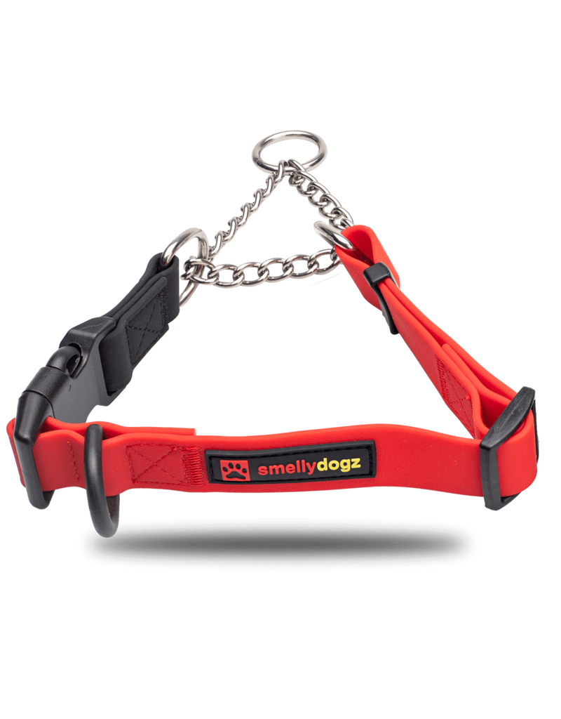 Martingale Collar