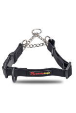 Martingale Collar