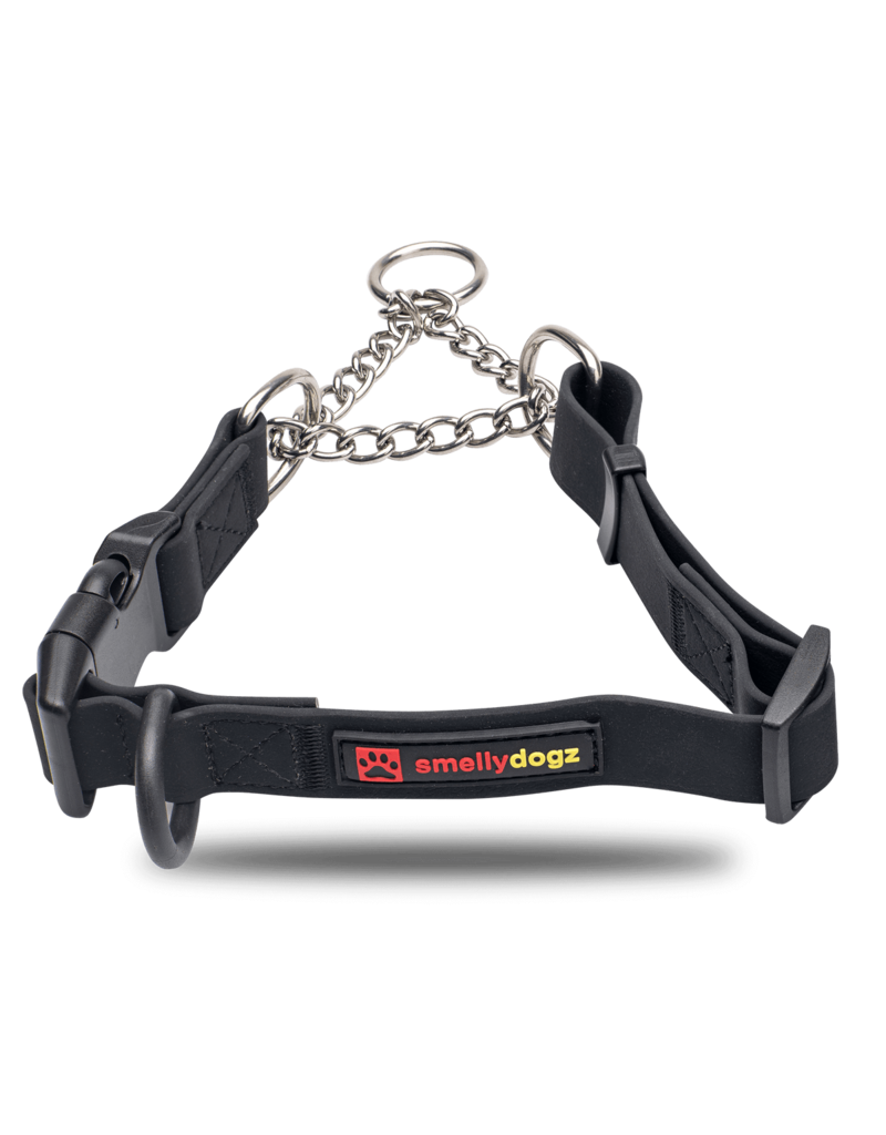 Martingale Collar