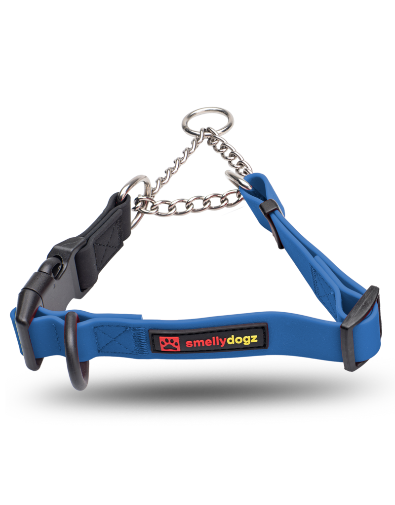 Martingale Collar