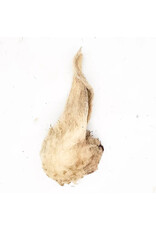 The Proper K9 Dehydrated Lamb Ear with Fur
