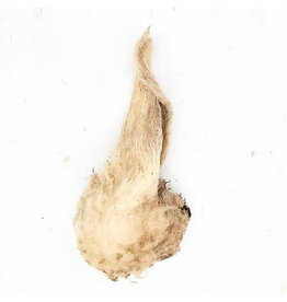 The Proper K9 Dehydrated Lamb Ear with Fur