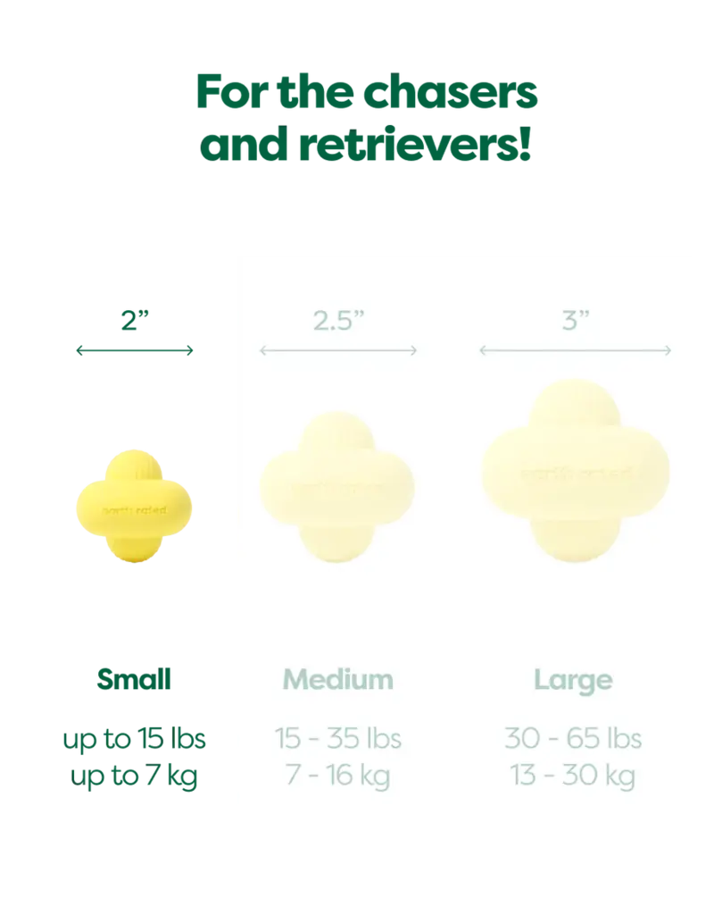 Earth Rated Fetch Toy Small