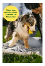 Earth Rated Fetch Toy Small