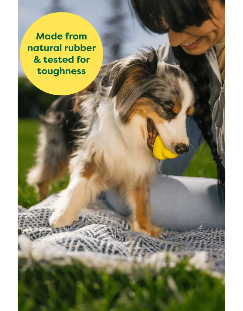 Earth Rated Fetch Toy Small