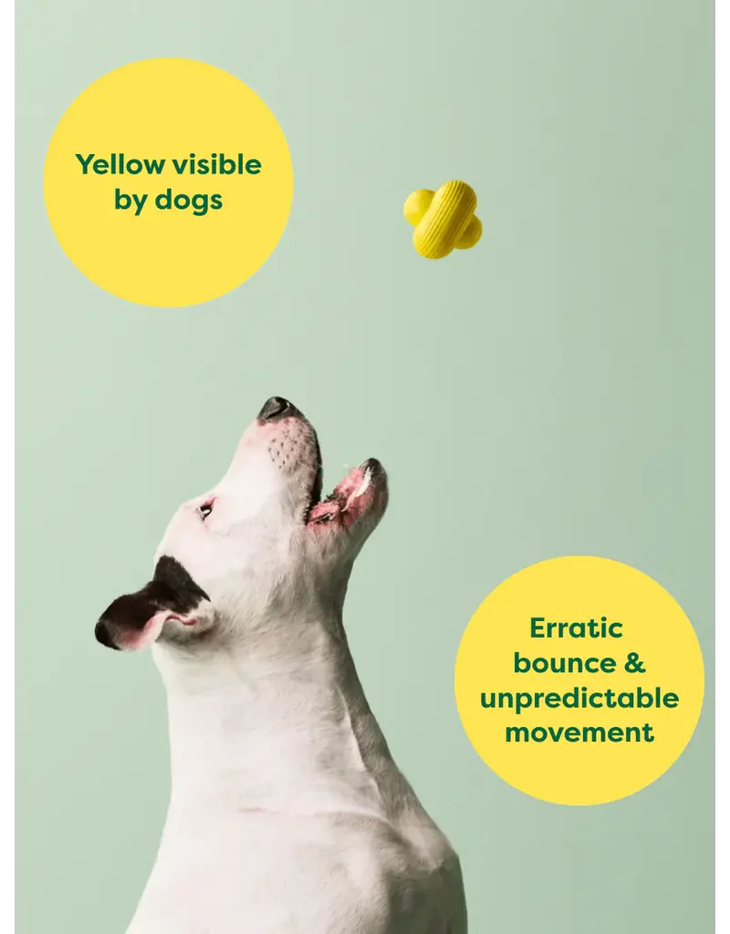 Earth Rated Fetch Toy Small