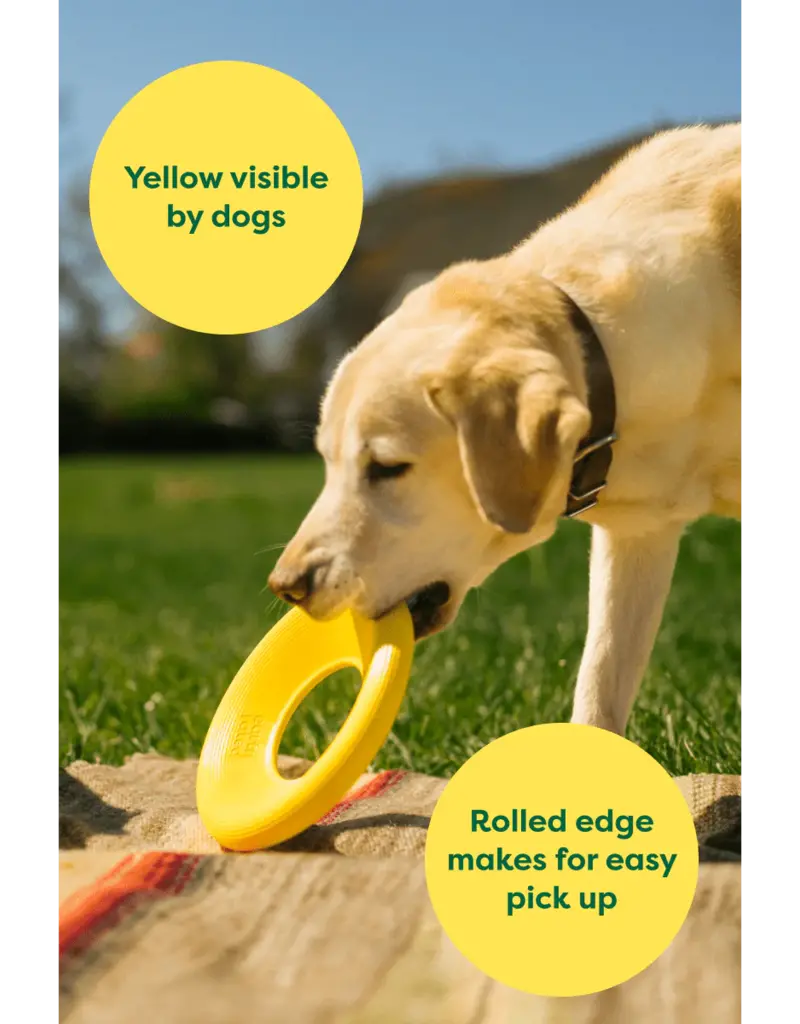 Earth Rated Flyer Toy Large