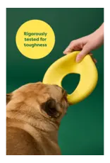 Earth Rated Flyer Toy Small