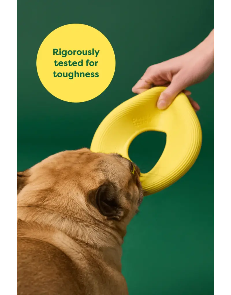 Earth Rated Flyer Toy Small