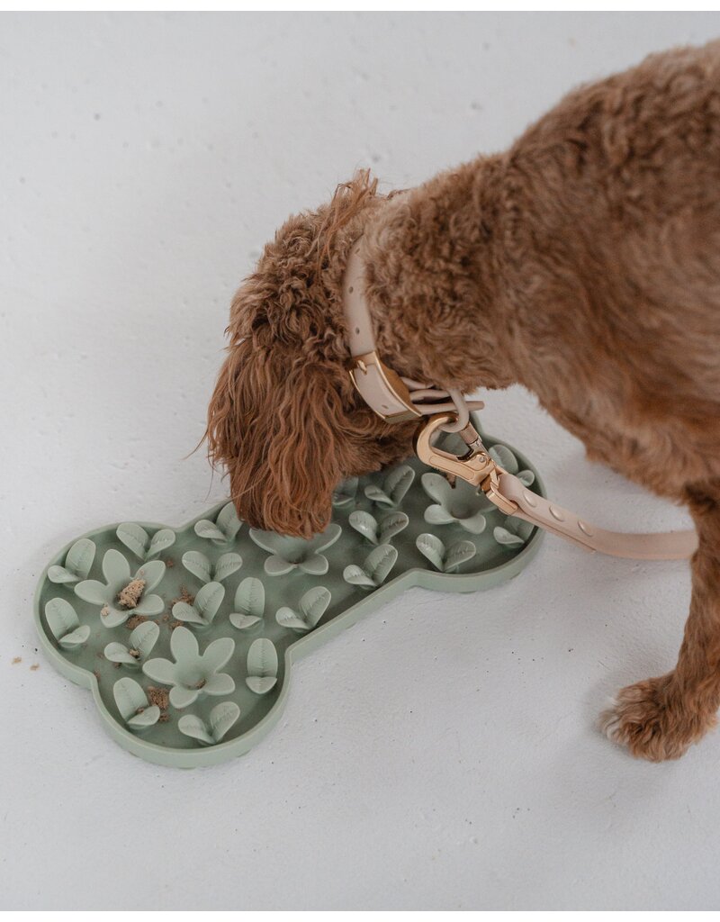 Dexypaws Silicone Snuffle Mat Bone Sage Green