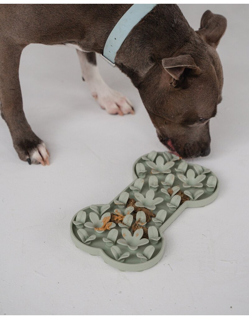 Dexypaws Silicone Snuffle Mat Bone Sage Green