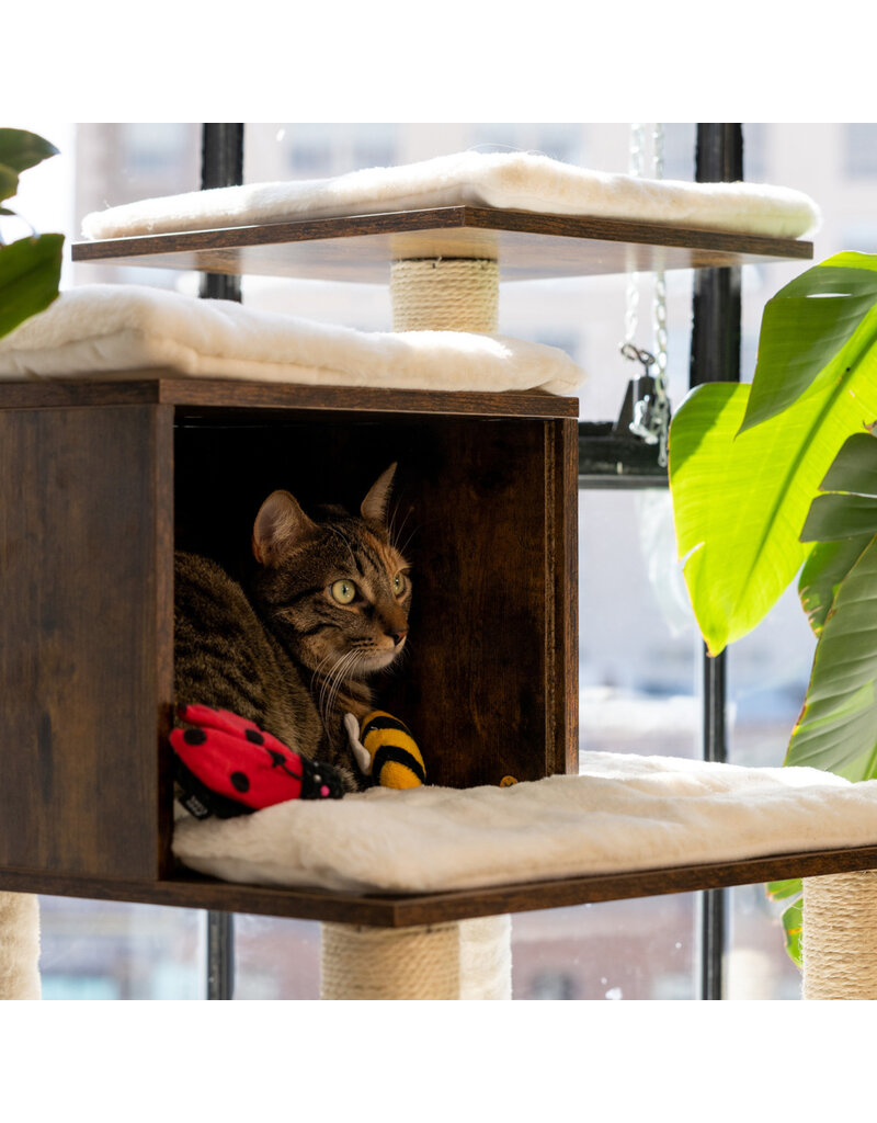 Zippy Claws Ladybug And Bee Cat Toy