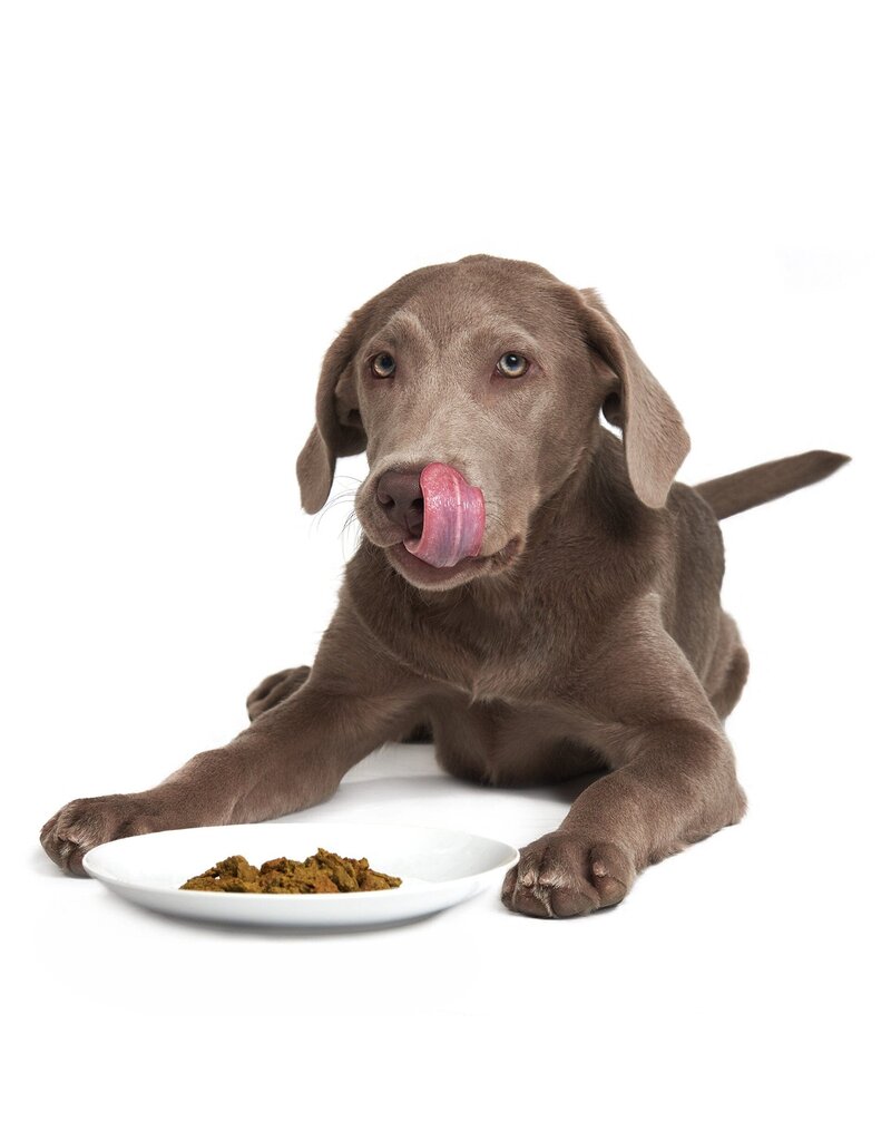 Smack Pet Food Lip Smacking Lamb