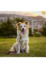 Tickless Eco Pet Ultrasonic Tick & Flea Repellent