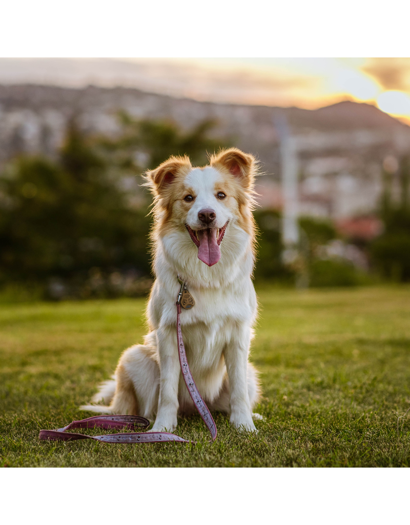 Tickless Eco Pet Ultrasonic Tick & Flea Repellent