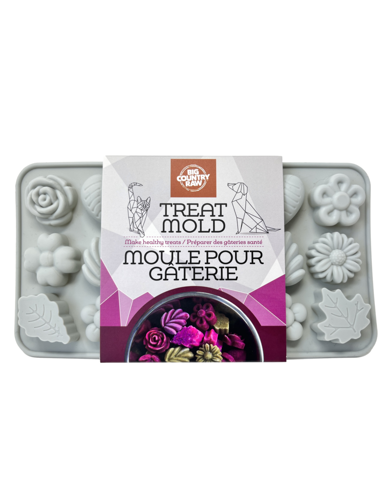 Big Country Raw Frozen Treat Mold Small Grey