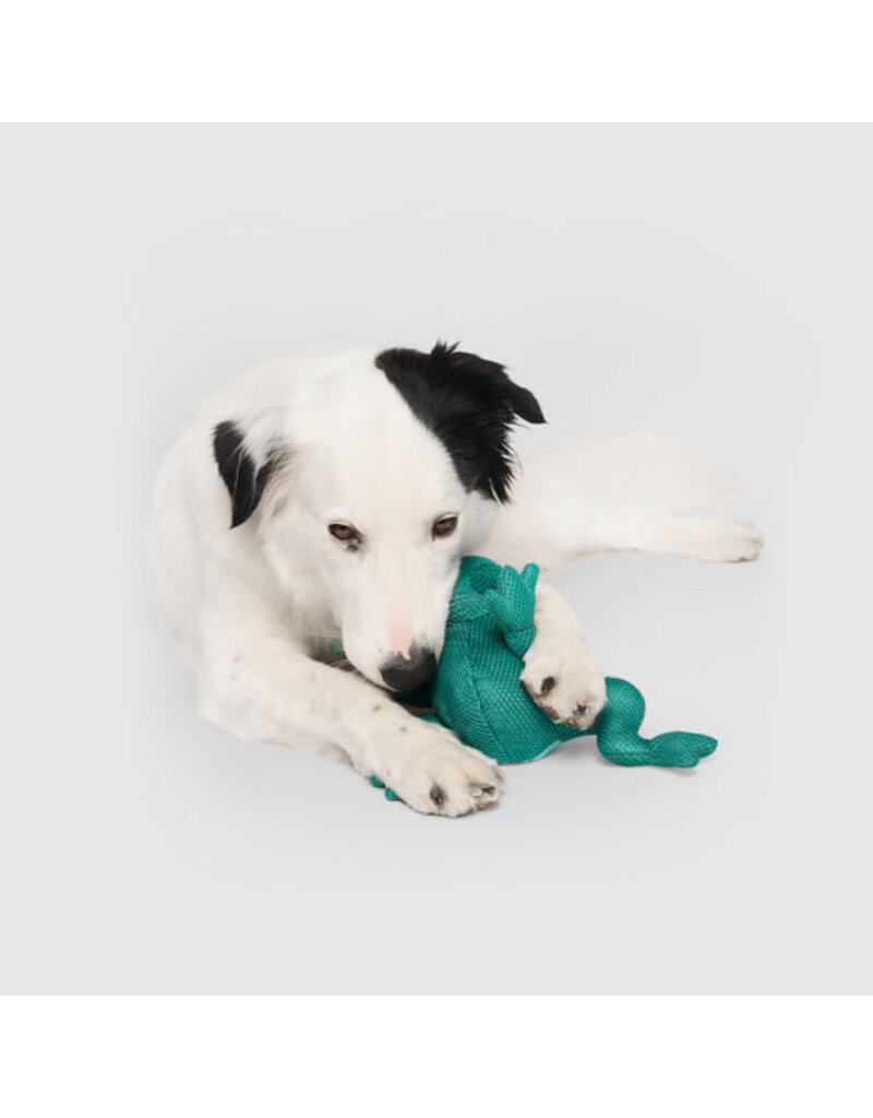 Canada Pooch Cooling Pals Frog