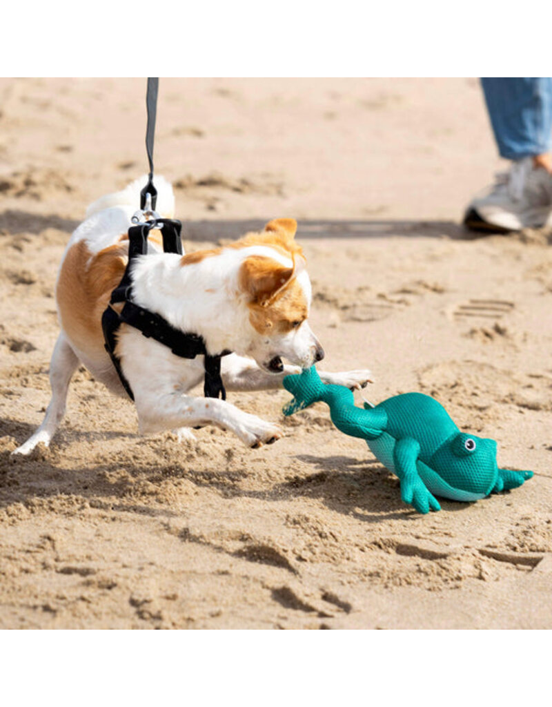 Canada Pooch Cooling Pals Frog