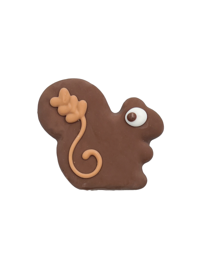 Squirrel Cookie