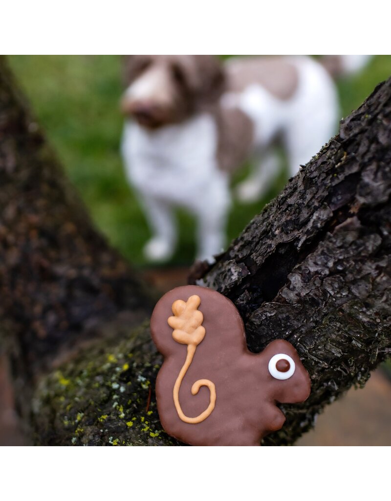 Squirrel Cookie