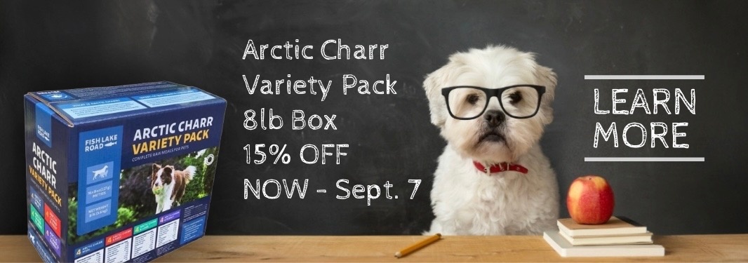 Arctic Charr Sale