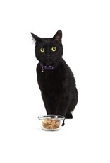 Smack Pet Food Cat Very Berry Dehydrated Raw