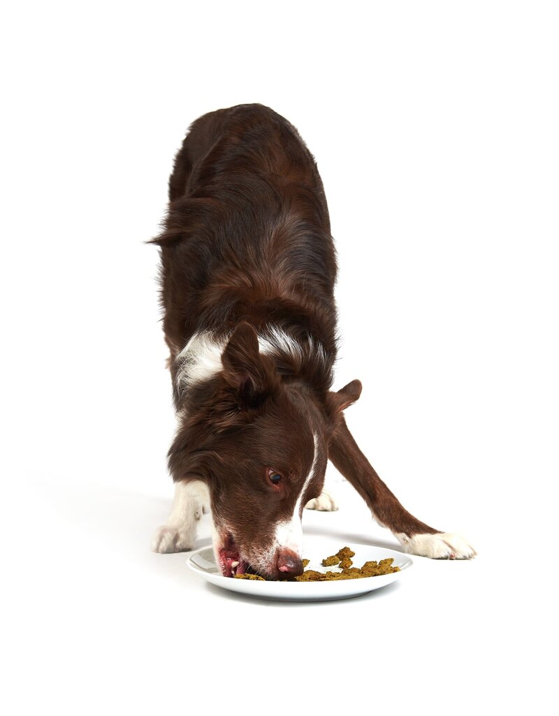 Smack Pet Food Dog Chunky Chicken Dehydrated Raw