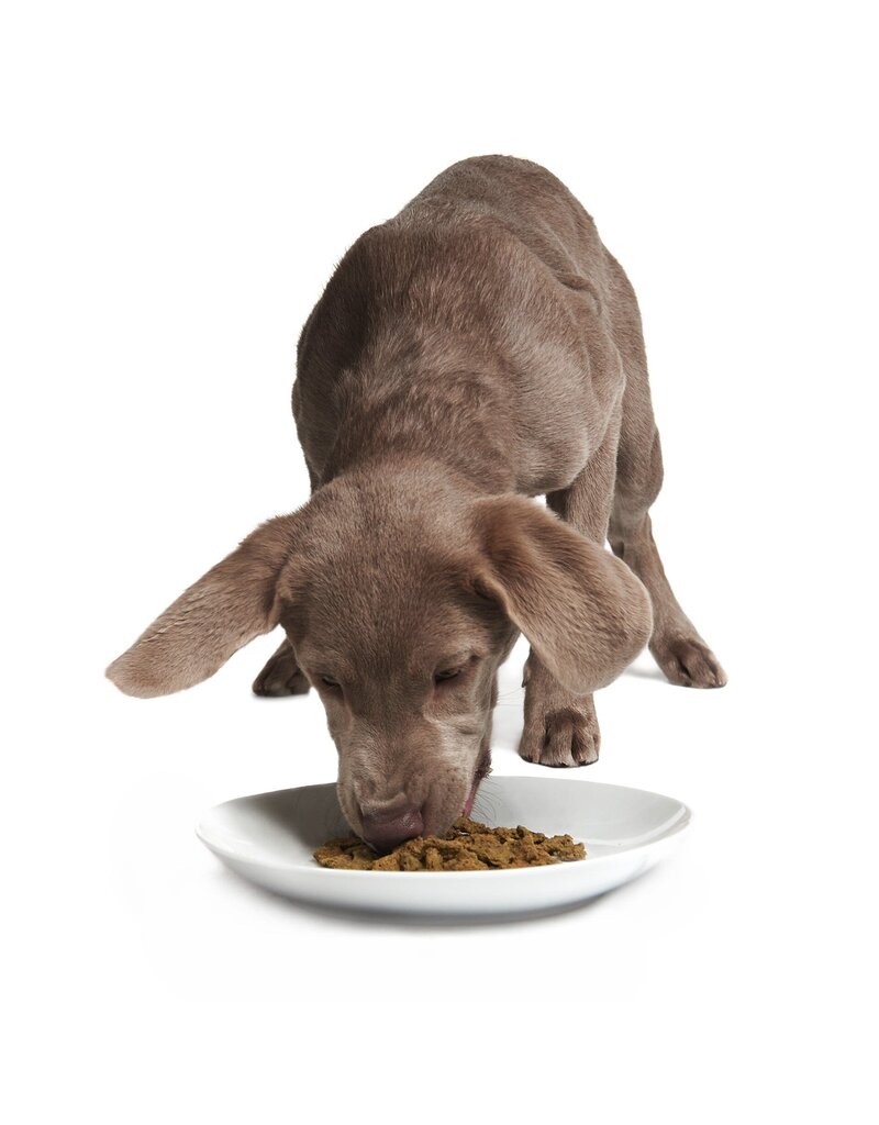Smack Pet Food Dog Rockin' Rockfish Dehydrated Raw