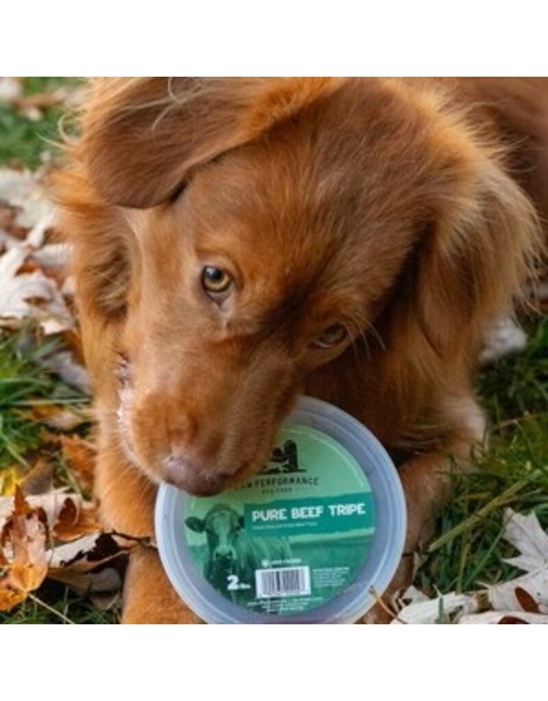 Raw Performance Pure Beef Tripe 2 lb Tub