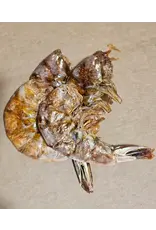 The Proper K9 Dehydrated Shrimp