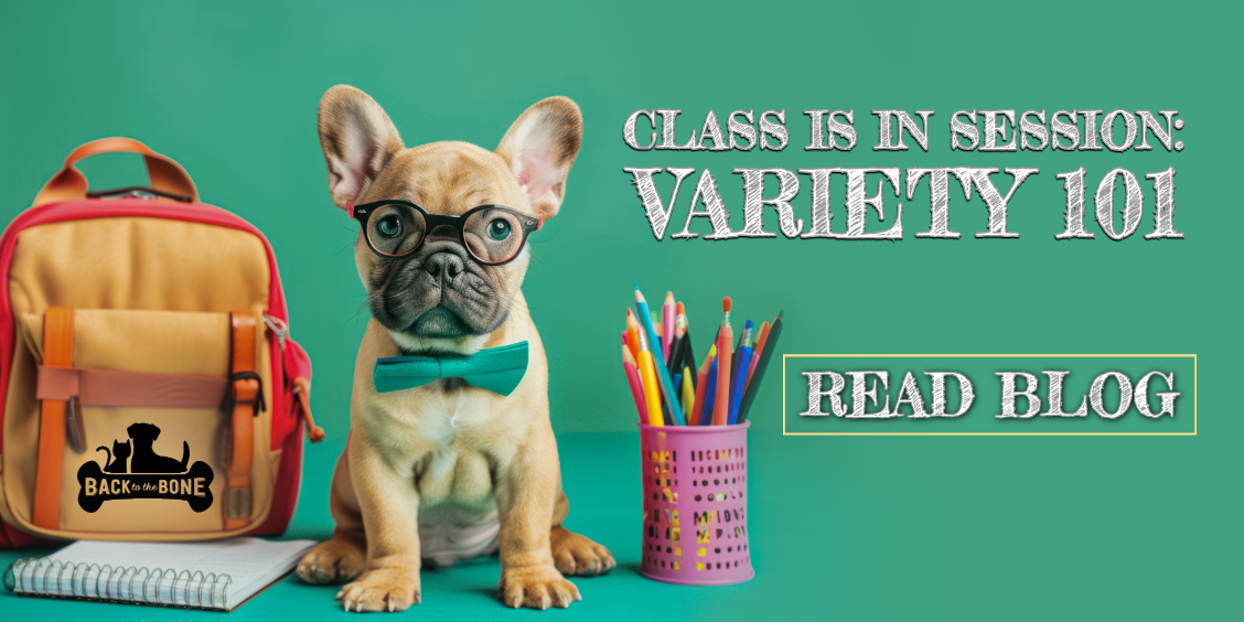 Variety in Your Pet's Menu Plan
