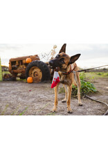Doggy Dagger Dog Toy