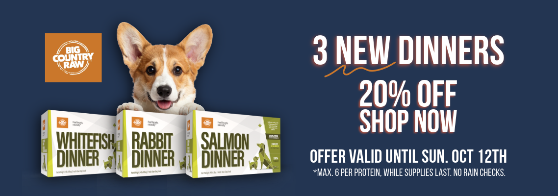 New Dinners 20% OFF