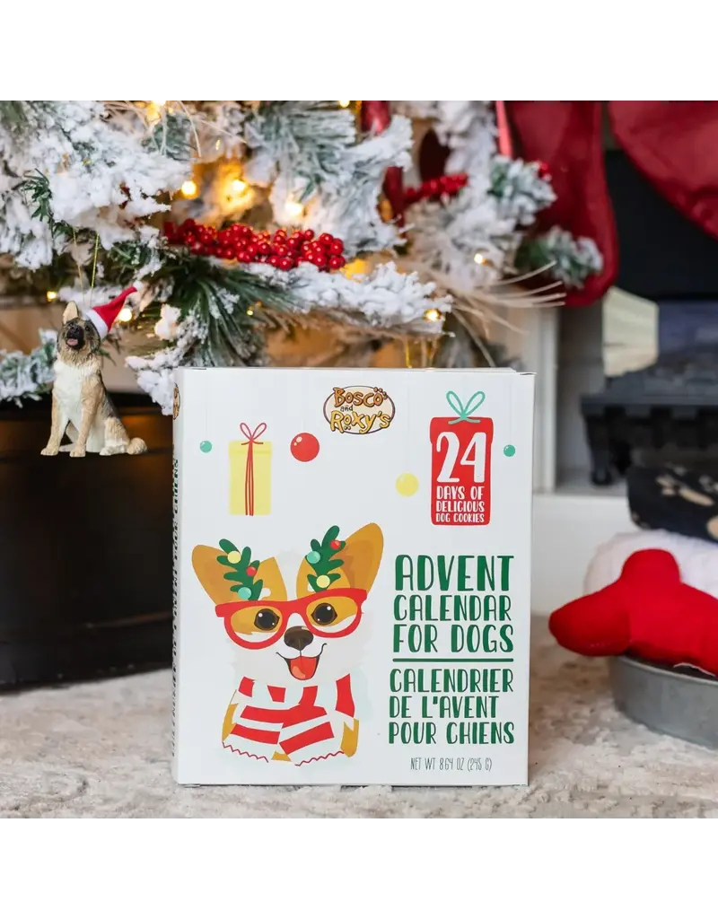 Advent Calendar 2025 - Dog Biscuits
