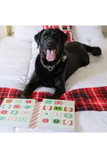 Advent Calendar 2025 - Dog Biscuits