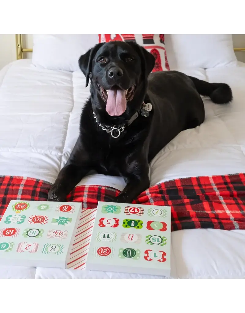 Advent Calendar 2025 - Dog Biscuits