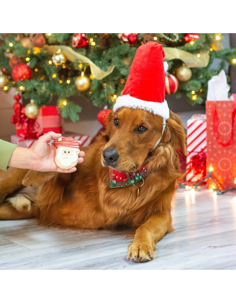 Sleigh-ing It Santa Cookie