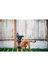 Yule Log Plush Dog Toy