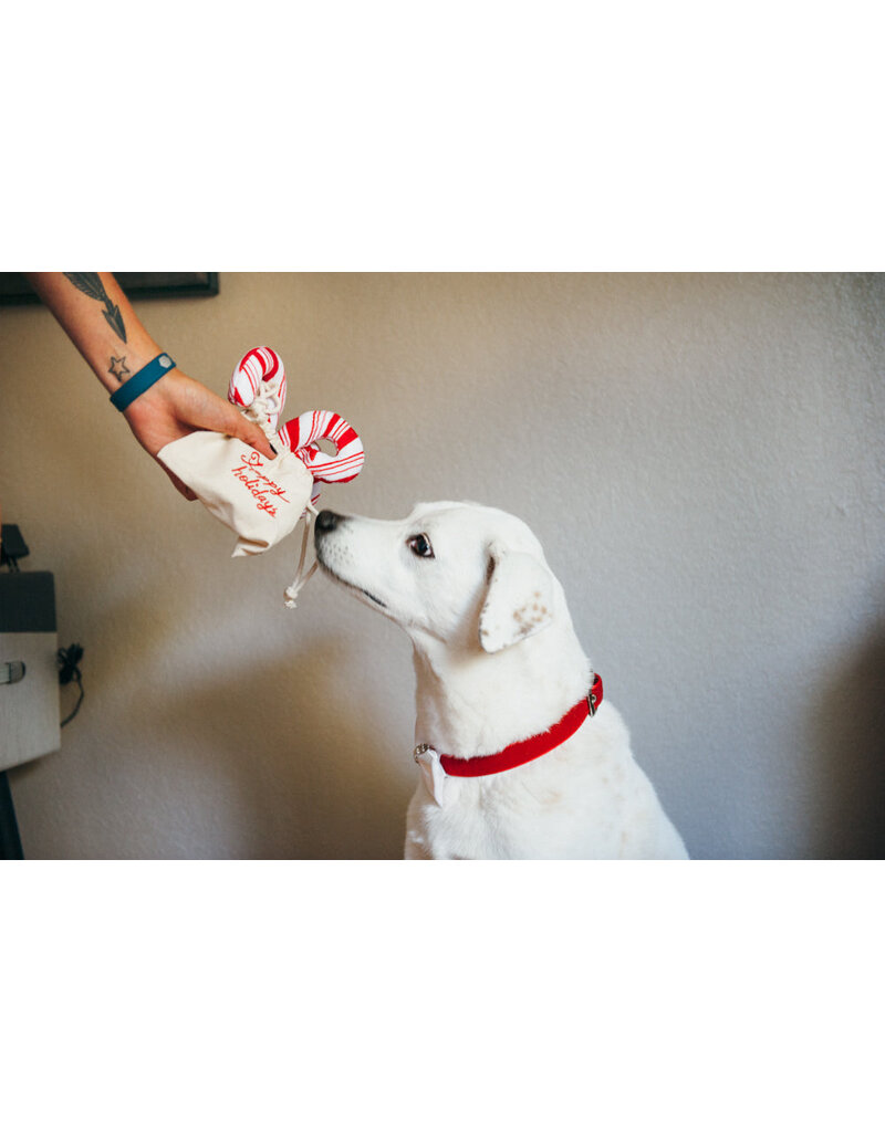 Candy Canes 3 Pack Dog Toy