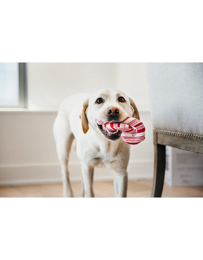 Candy Canes 3 Pack Dog Toy
