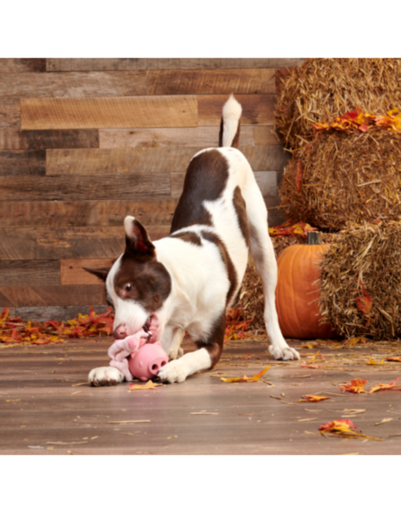 Bark Spr Chwr Hambone Pig